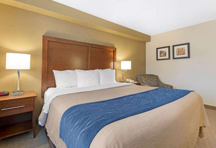 בית מלון כפרי Comfort Inn