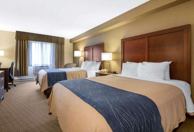 בית מלון כפרי Comfort Inn