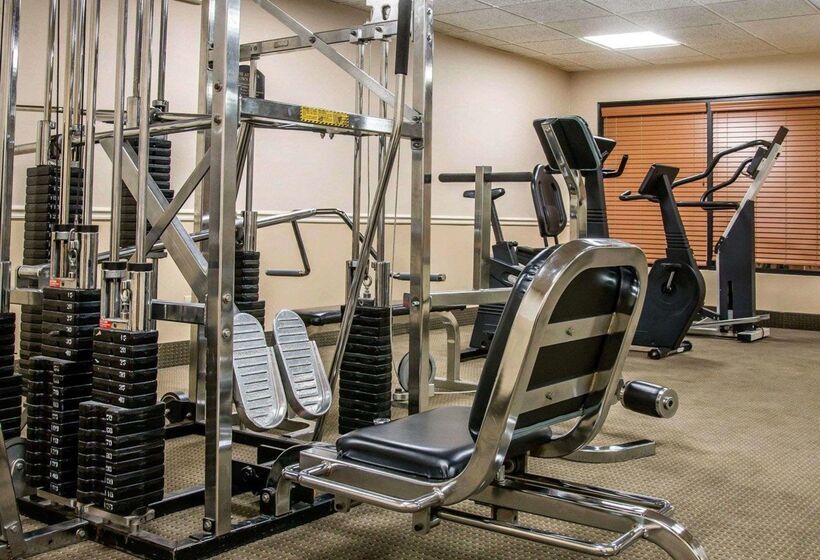 בית מלון כפרי Comfort Inn Livonia