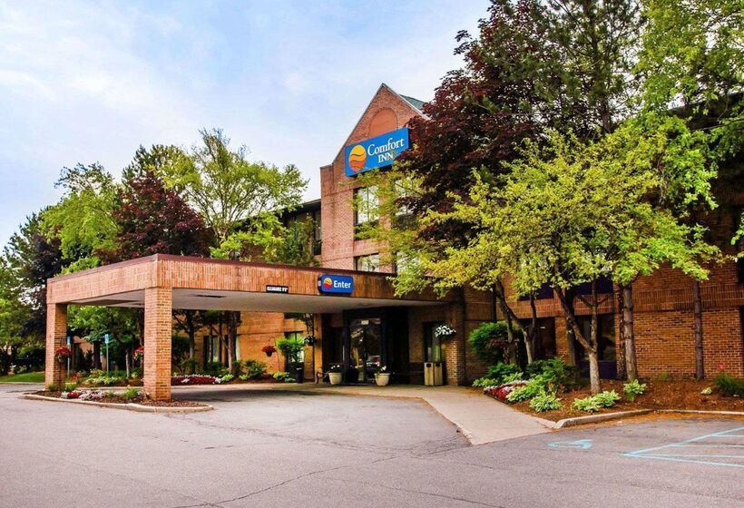 בית מלון כפרי Comfort Inn Livonia