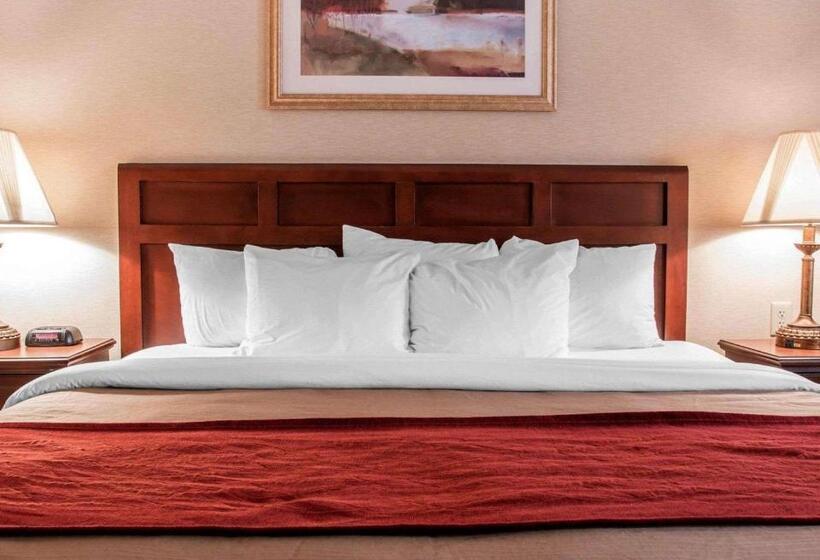 בית מלון כפרי Comfort Inn Livonia