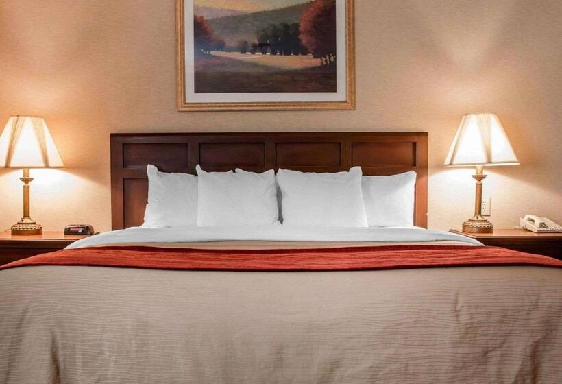 בית מלון כפרי Comfort Inn Livonia