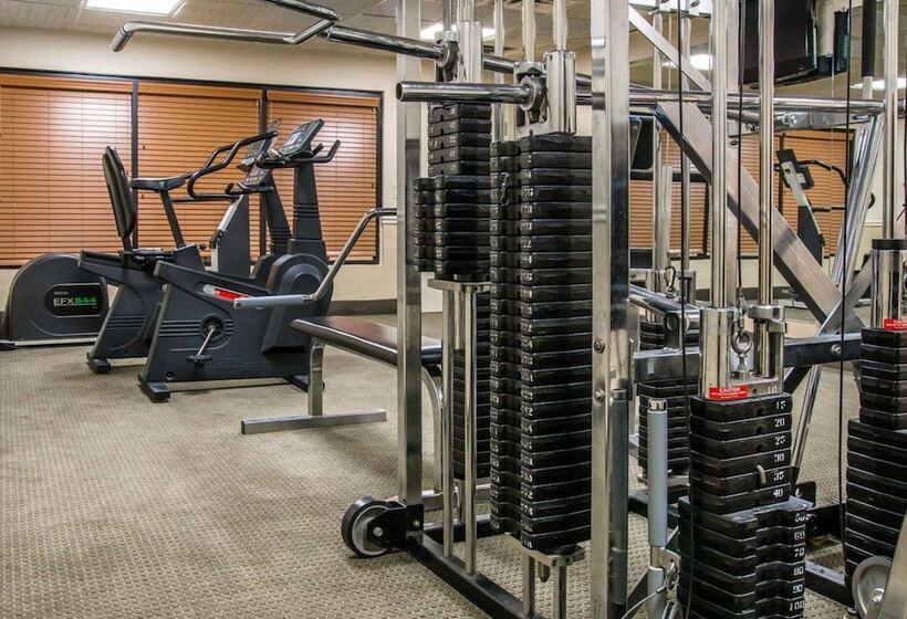 فندق Comfort Inn Livonia