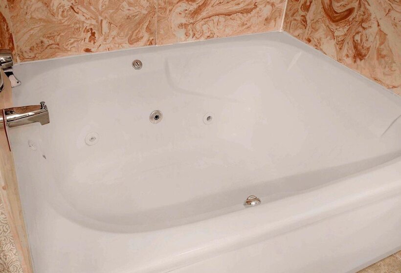 בית מלון כפרי Comfort Inn Livonia