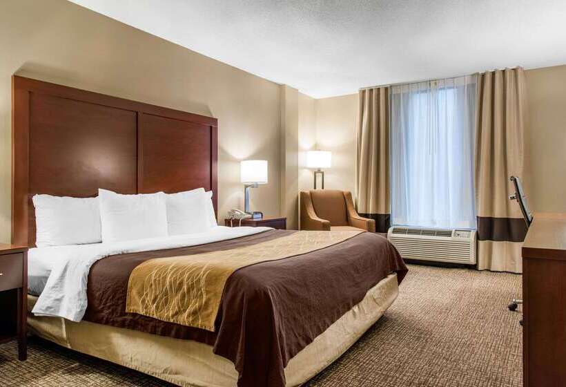 ホテル Comfort Inn Msp Airport  Mall Of America
