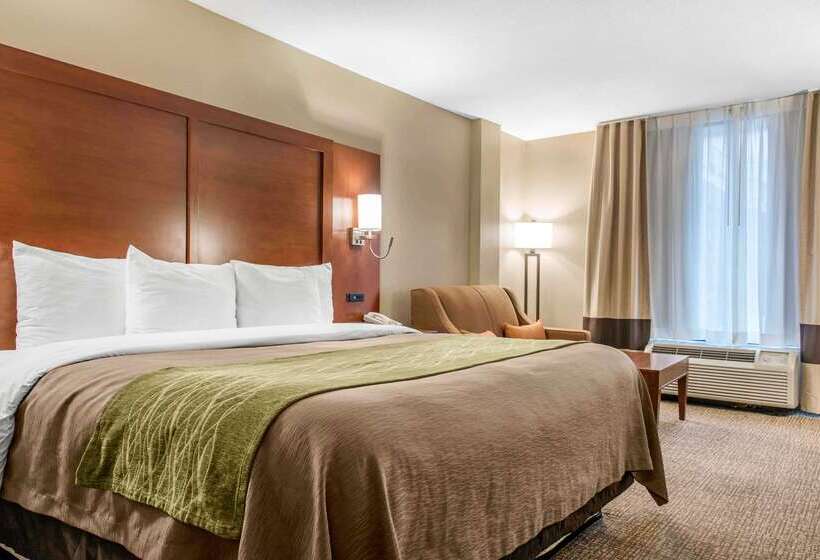 ホテル Comfort Inn Msp Airport  Mall Of America