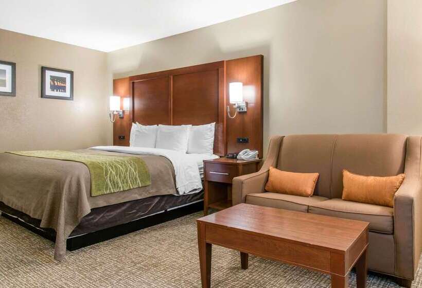 ホテル Comfort Inn Msp Airport  Mall Of America