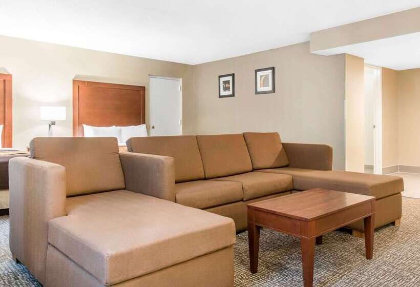 ホテル Comfort Inn Msp Airport  Mall Of America