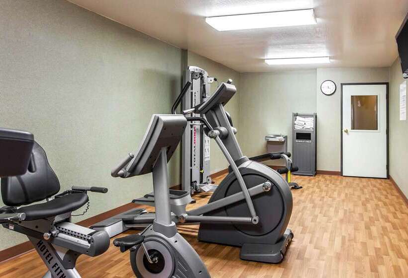 בית מלון כפרי Comfort Inn & Suites Near Fallon Naval Air Station