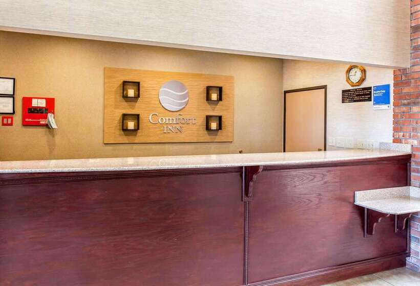 בית מלון כפרי Comfort Inn & Suites Near Fallon Naval Air Station