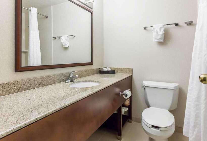 בית מלון כפרי Comfort Inn & Suites Near Fallon Naval Air Station