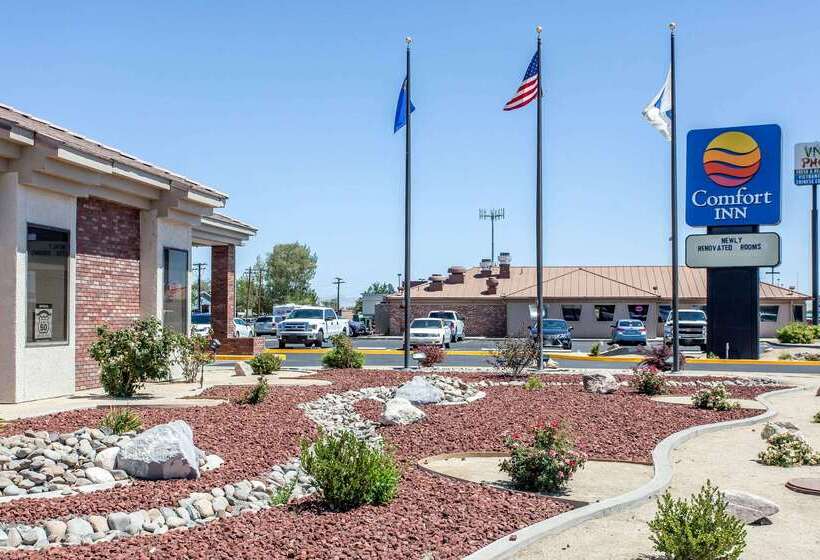 בית מלון כפרי Comfort Inn & Suites Near Fallon Naval Air Station