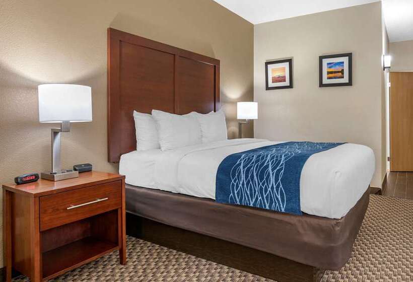 فندق Comfort Inn Near Kokomo Speedway