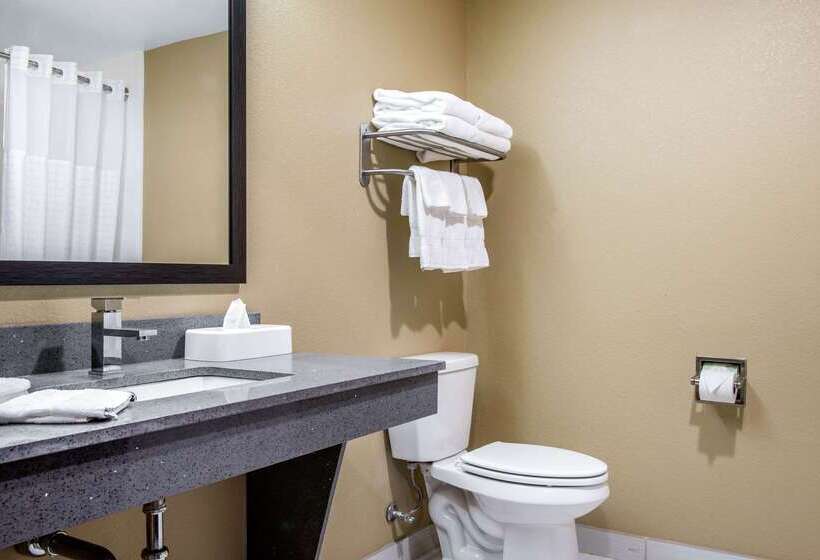 فندق Comfort Inn & Suites Ashland