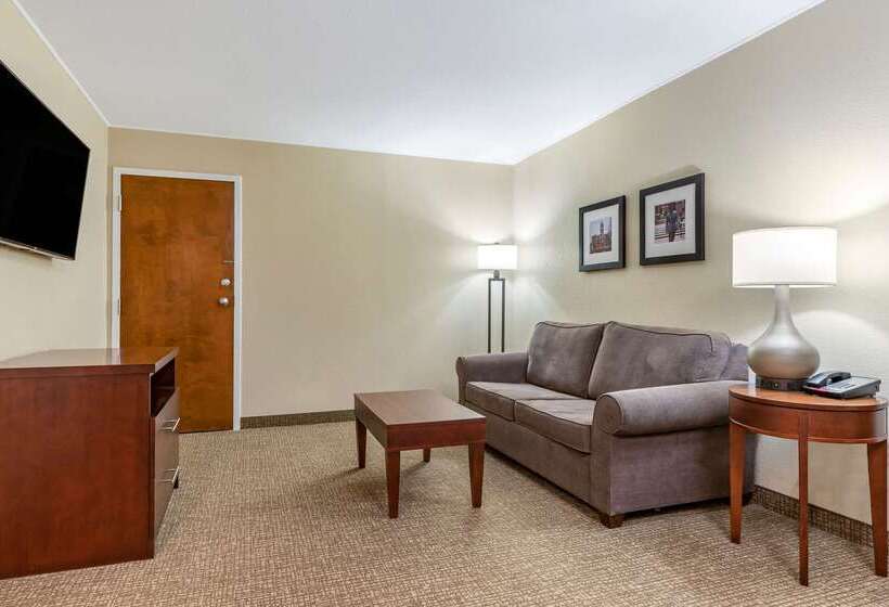 فندق Comfort Inn & Suites Clemson  University Area