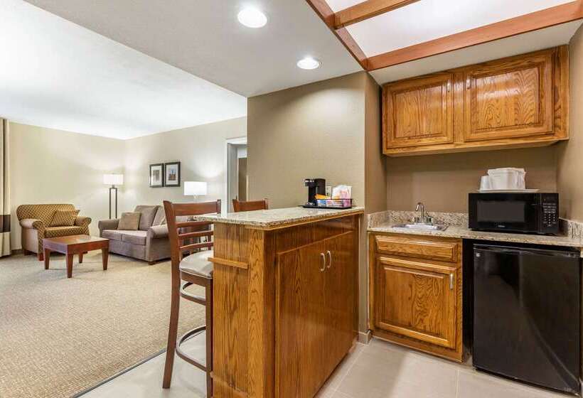 فندق Comfort Inn & Suites Clemson  University Area