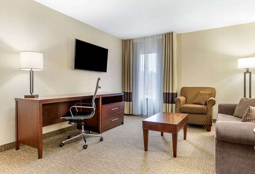 فندق Comfort Inn & Suites Clemson  University Area