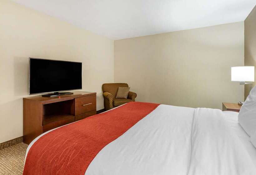 فندق Comfort Inn & Suites Clemson  University Area