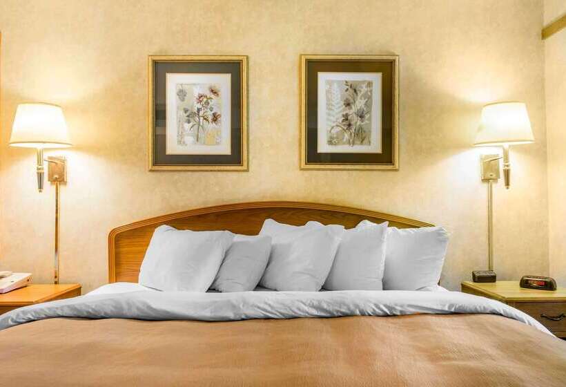 فندق Comfort Inn & Suites