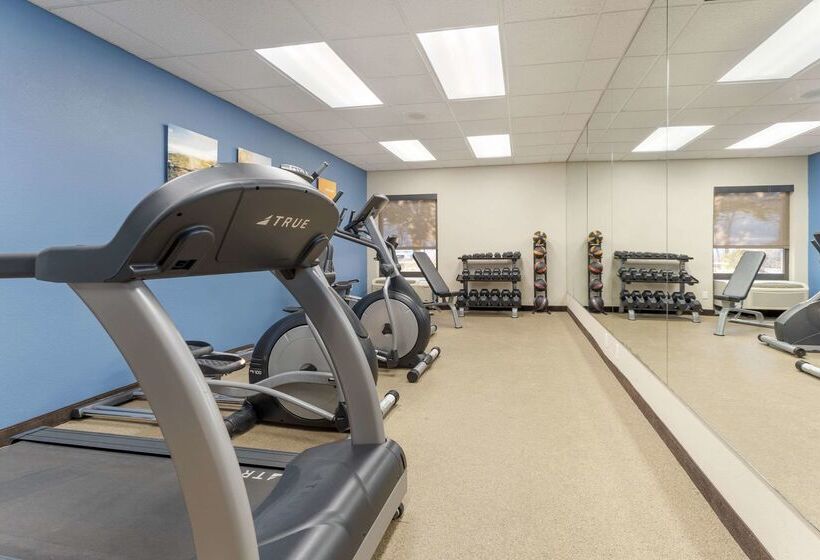 فندق Comfort Inn & Suites