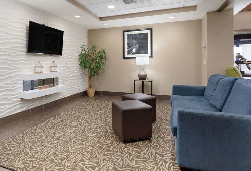 فندق Comfort Inn & Suites