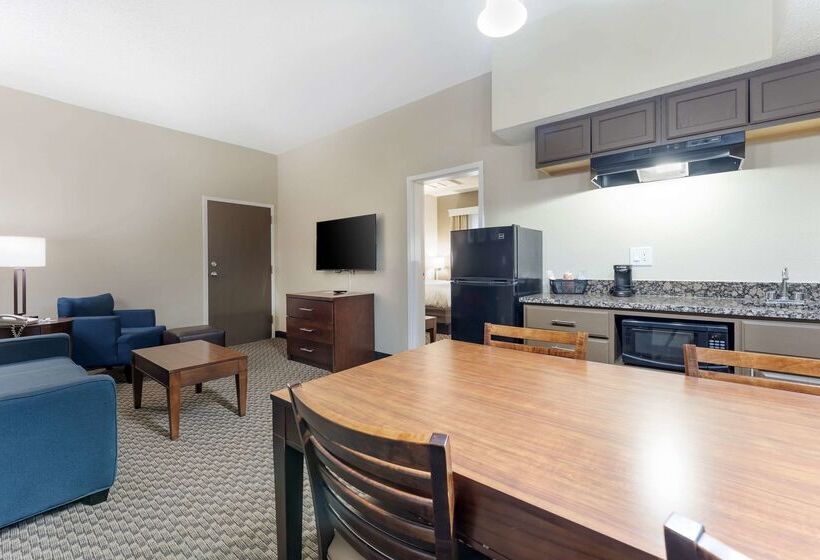 فندق Comfort Inn & Suites