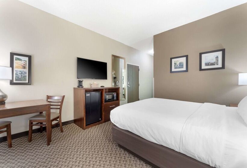 فندق Comfort Inn & Suites