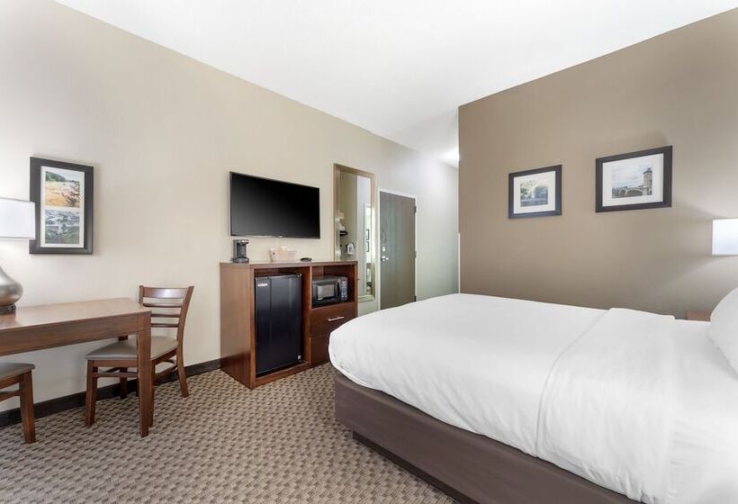 فندق Comfort Inn & Suites