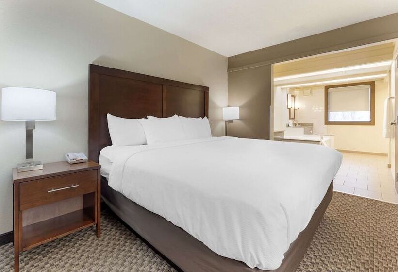 فندق Comfort Inn & Suites