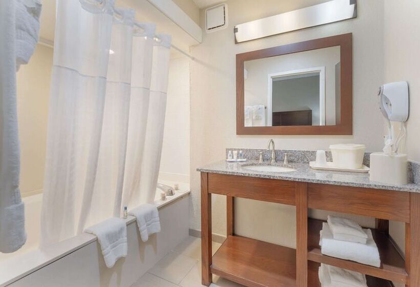 فندق Comfort Inn & Suites