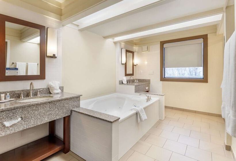 فندق Comfort Inn & Suites