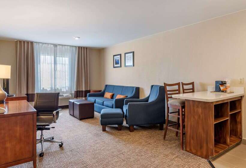 فندق Comfort Inn & Suites