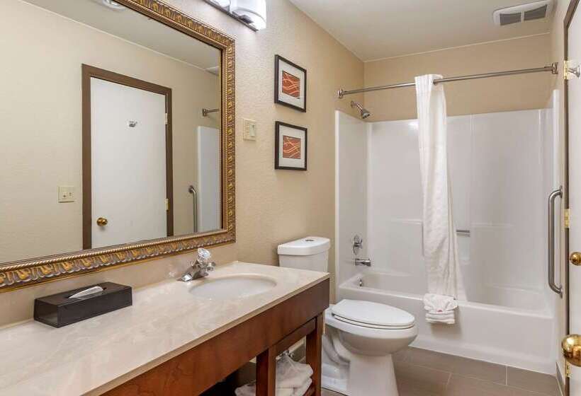 فندق Comfort Inn & Suites