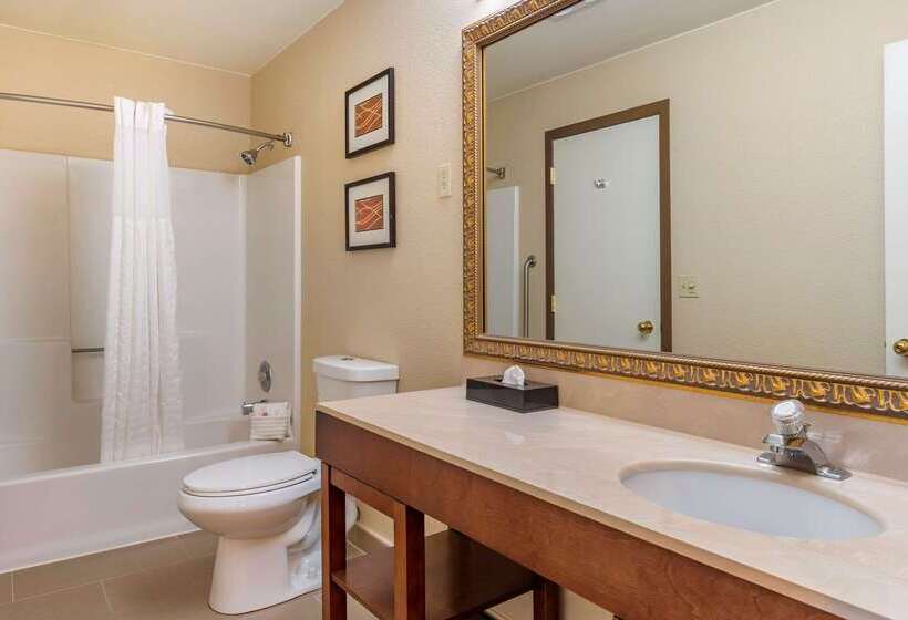 فندق Comfort Inn & Suites