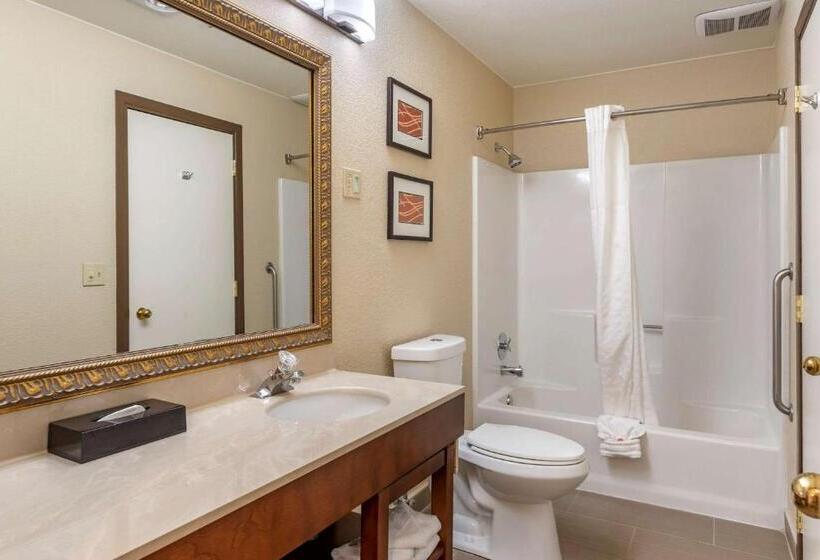 فندق Comfort Inn & Suites