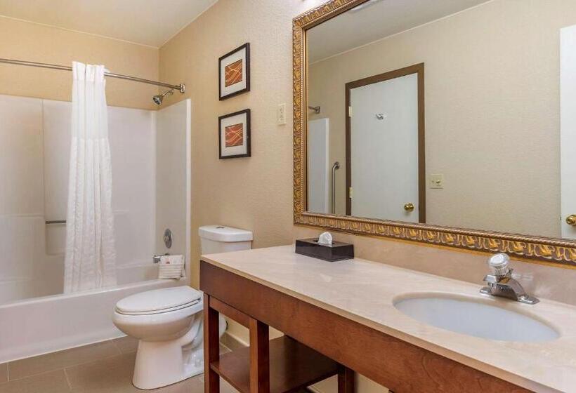 فندق Comfort Inn & Suites