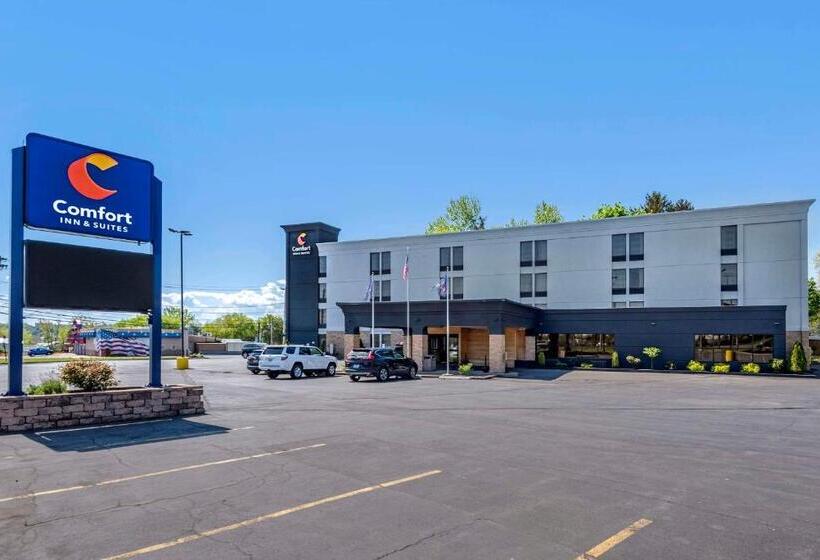 酒店 Comfort Inn & Suites