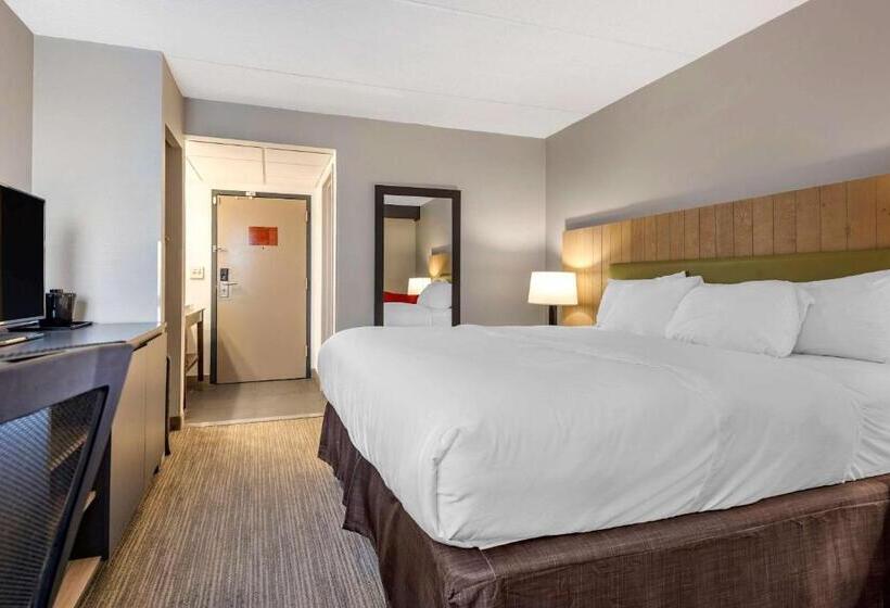 酒店 Comfort Inn & Suites