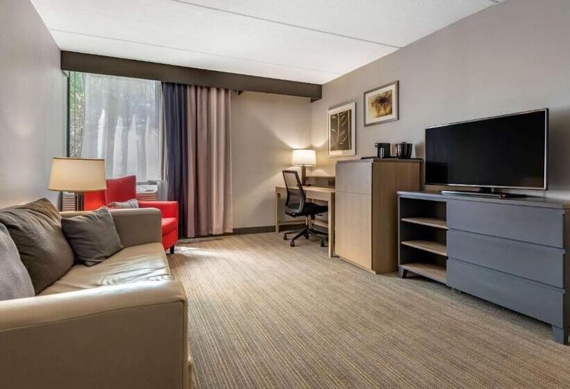 酒店 Comfort Inn & Suites