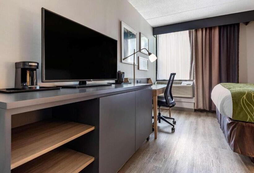 酒店 Comfort Inn & Suites