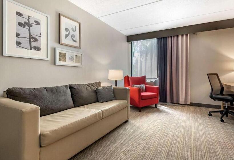 酒店 Comfort Inn & Suites