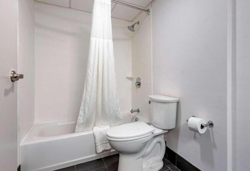 酒店 Comfort Inn & Suites