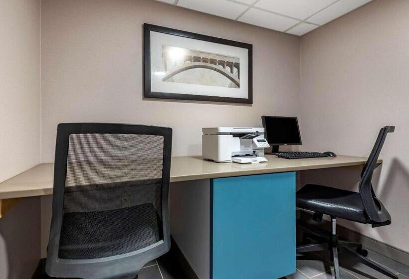 酒店 Comfort Inn & Suites