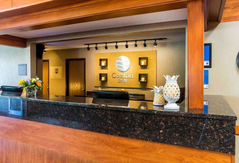 فندق Comfort Inn West