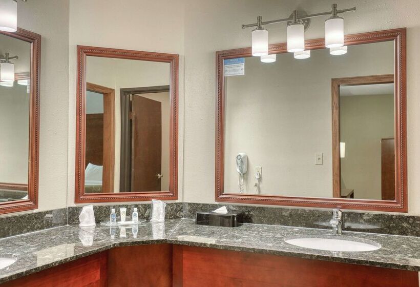 酒店 Comfort Suites Appleton Airport