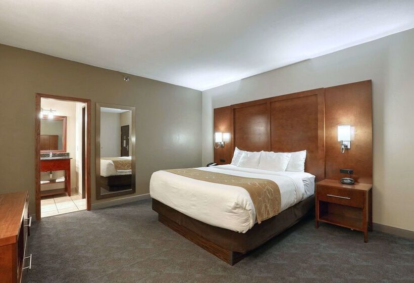 酒店 Comfort Suites Appleton Airport