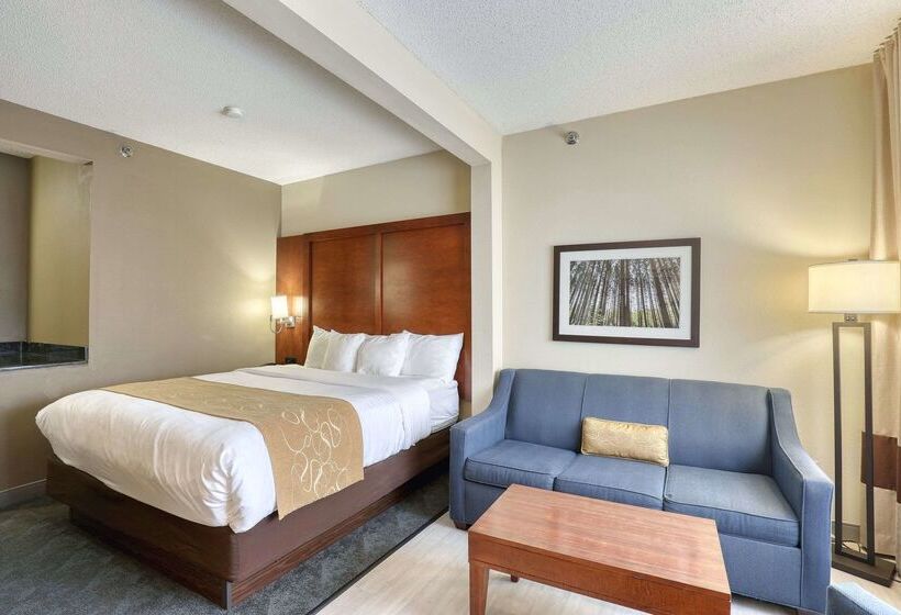 酒店 Comfort Suites Appleton Airport