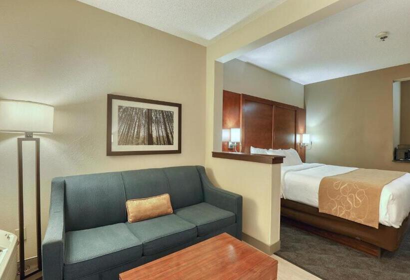 酒店 Comfort Suites Appleton Airport