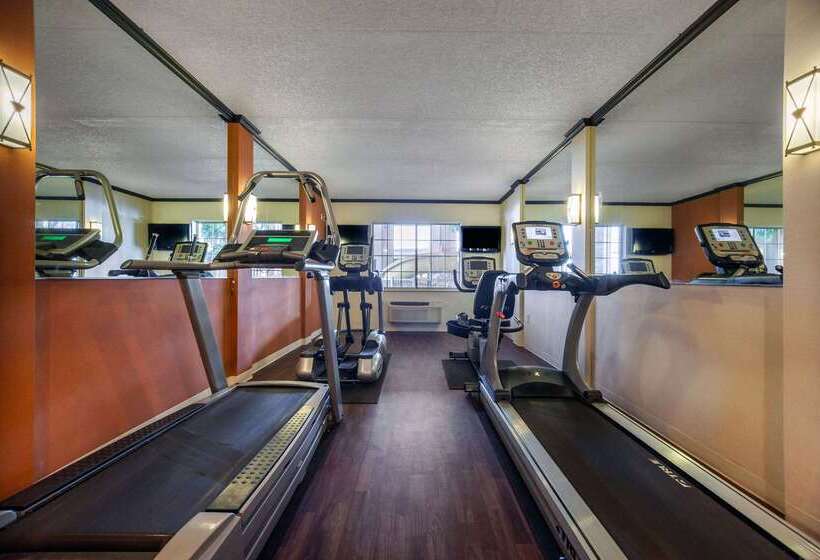 Отель Comfort Suites