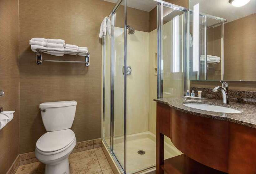 Отель Comfort Suites